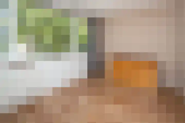 Molensingel 32 Bovenkarspel thumbnail 19