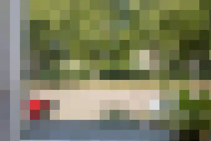 Molensingel 32 Bovenkarspel thumbnail 21