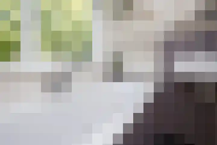 Molensingel 32 Bovenkarspel thumbnail 25
