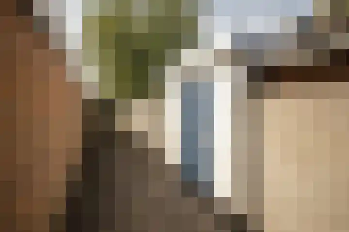 Molensingel 32 Bovenkarspel thumbnail 33