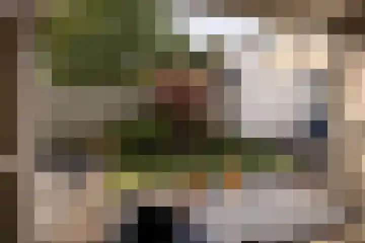 Molensingel 32 Bovenkarspel thumbnail 37