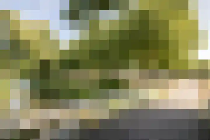 Molensingel 32 Bovenkarspel thumbnail 40