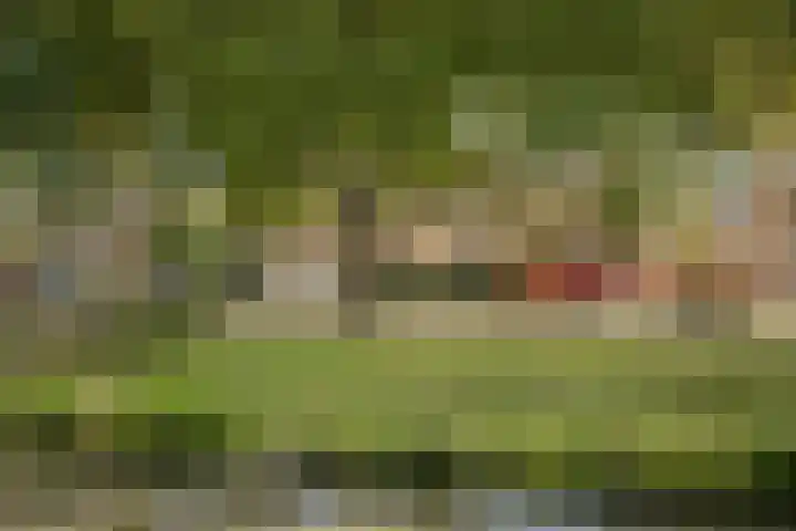 Molensingel 32 Bovenkarspel thumbnail 41