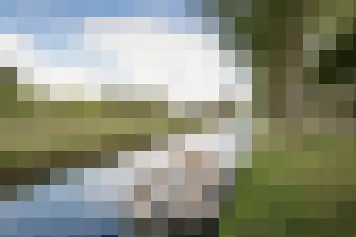 Molensingel 32 Bovenkarspel thumbnail 43