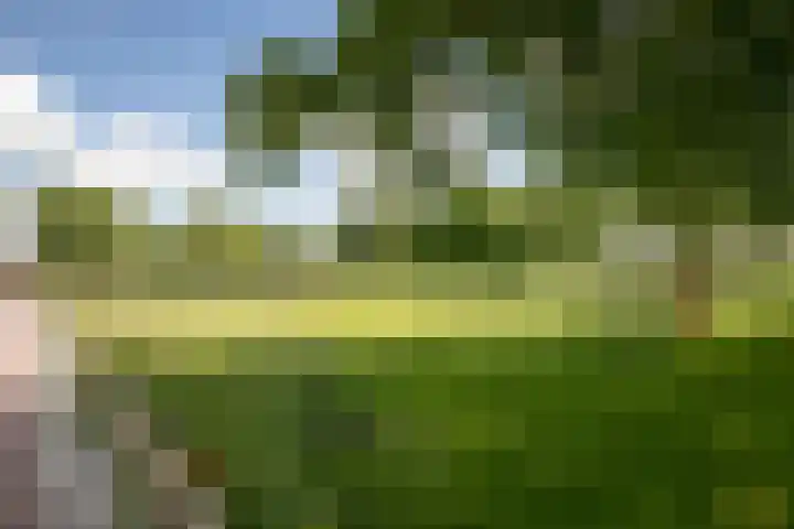 Molensingel 32 Bovenkarspel thumbnail 46