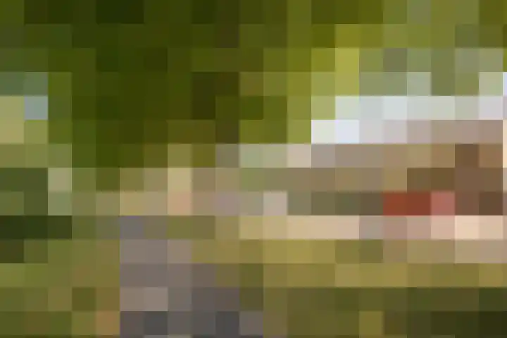 Molensingel 32 Bovenkarspel thumbnail 5