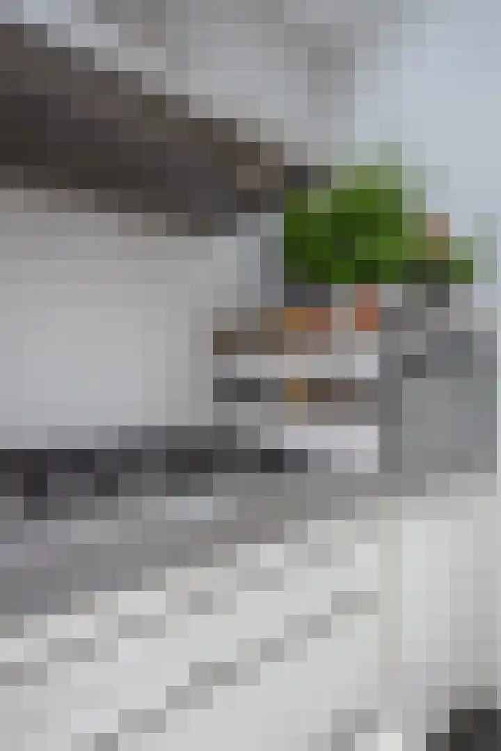 Molensingel 32 Bovenkarspel thumbnail 57