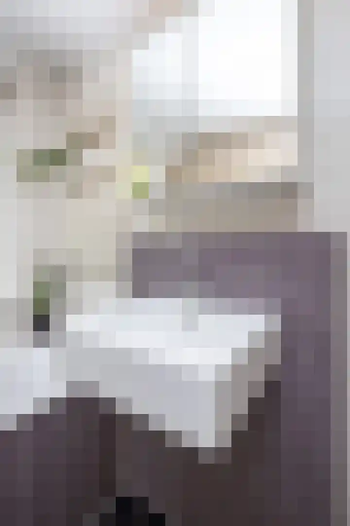 Molensingel 32 Bovenkarspel thumbnail 59