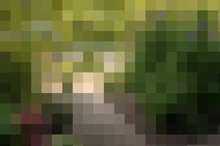 Molensingel 32 Bovenkarspel thumbnail 7