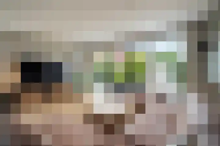 Molensingel 33 Wieringerwaard thumbnail 15