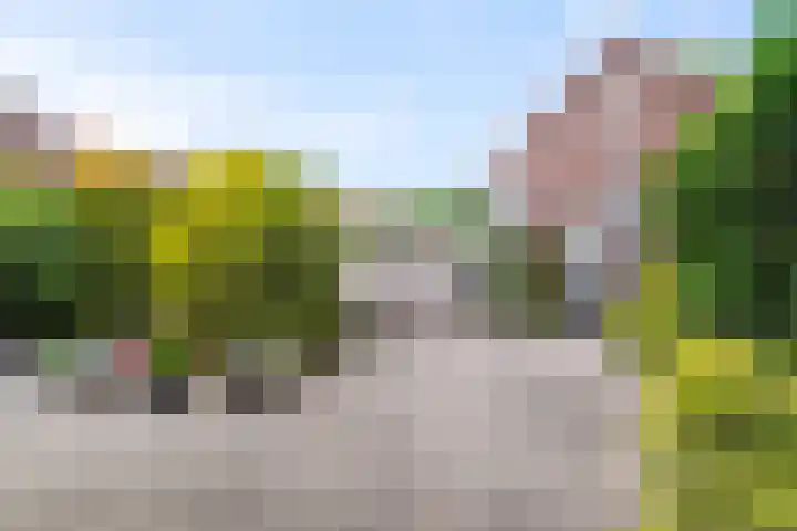 Molensingel 33 Wieringerwaard thumbnail 18