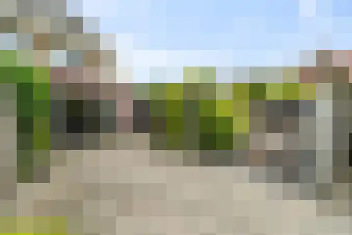 Molensingel 33 Wieringerwaard thumbnail 19