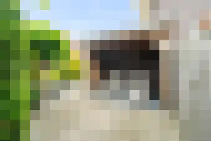 Molensingel 33 Wieringerwaard thumbnail 21