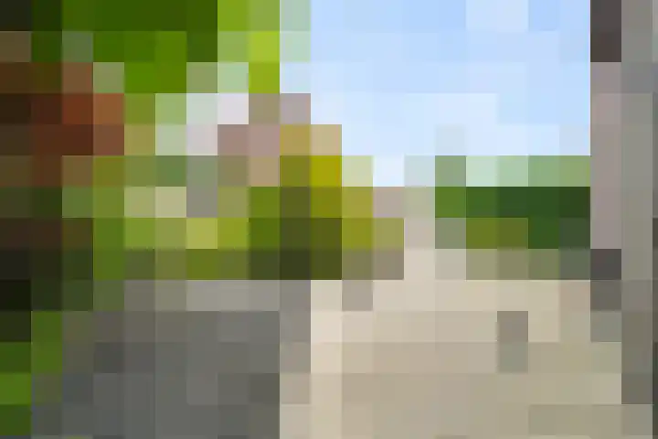 Molensingel 33 Wieringerwaard thumbnail 24
