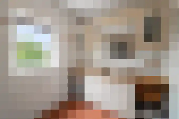 Molensingel 33 Wieringerwaard thumbnail 31