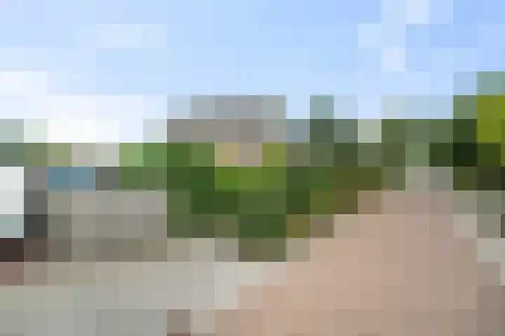 Molensingel 33 Wieringerwaard thumbnail 5