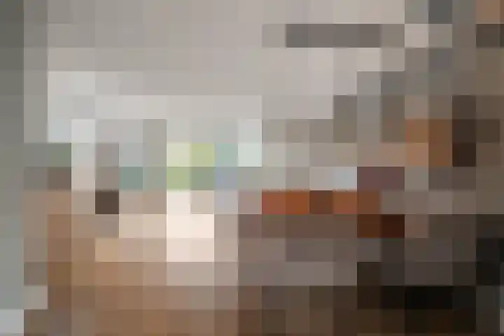 Molensingel 33 Wieringerwaard thumbnail 8