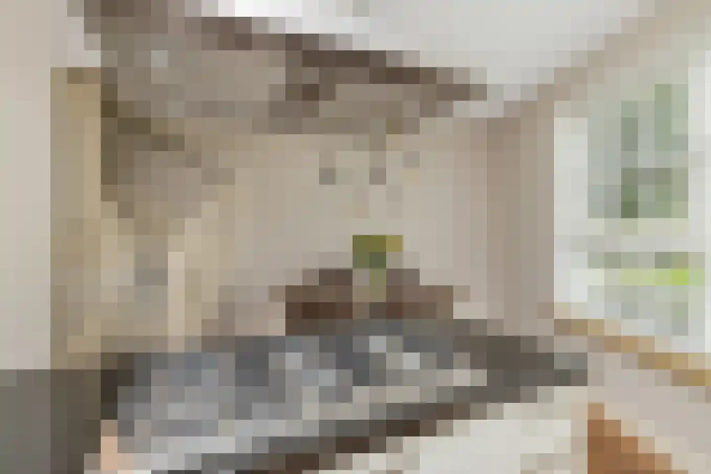 Molensingel 34 Wieringerwaard thumbnail 18