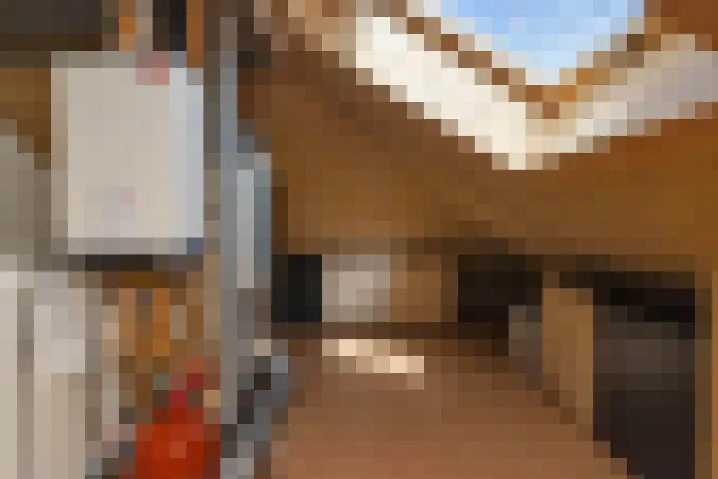 Molensingel 34 Wieringerwaard thumbnail 33