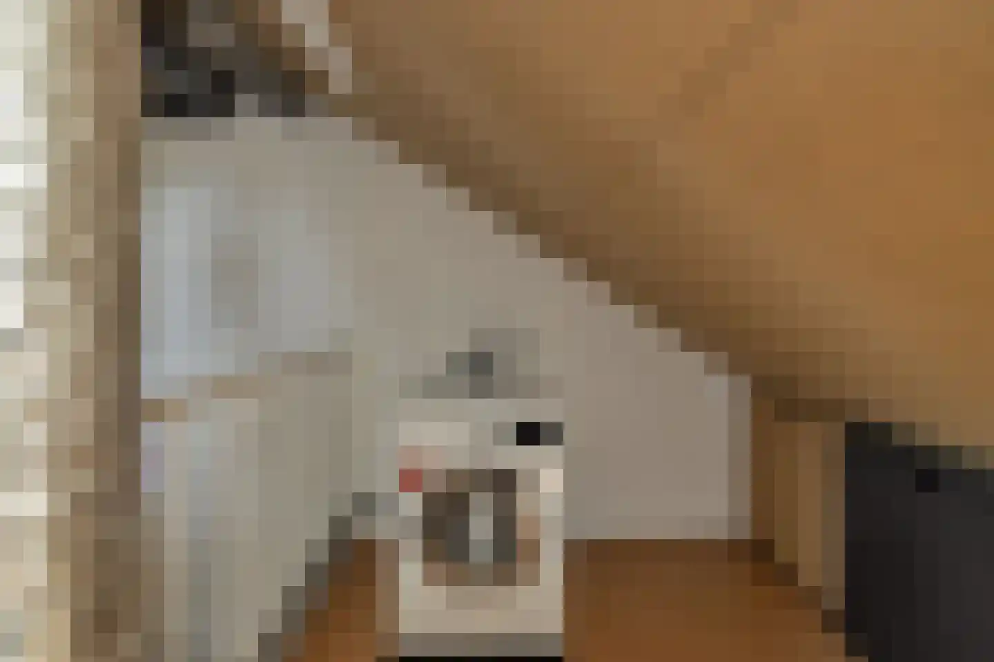 Molensingel 34 Wieringerwaard thumbnail 34