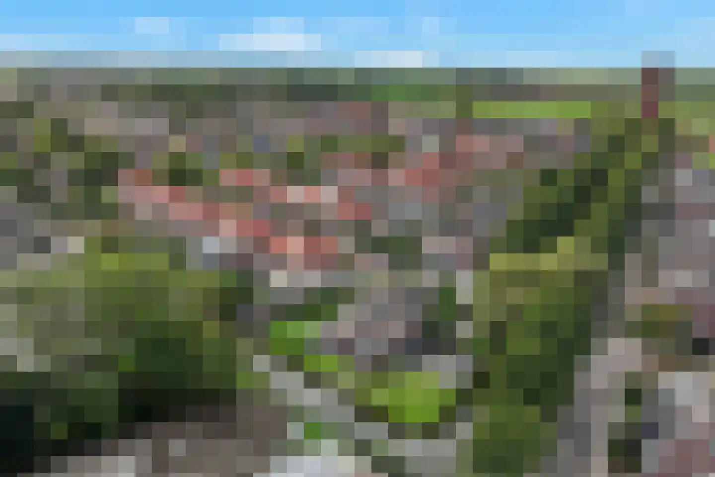 Molensingel 34 Wieringerwaard thumbnail 48
