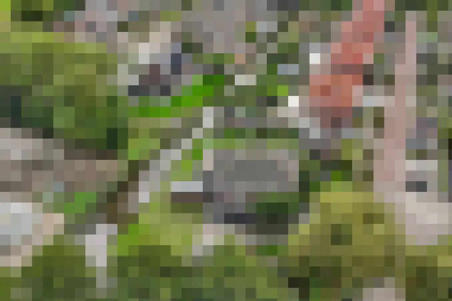 Molensingel 34 Wieringerwaard thumbnail 49