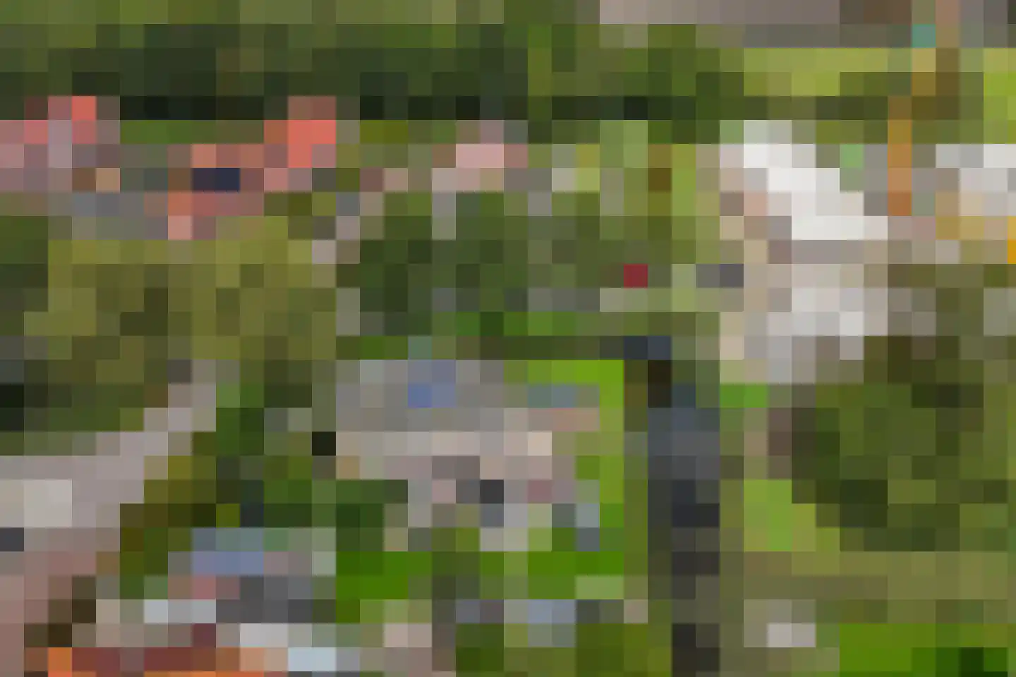 Molensingel 34 Wieringerwaard thumbnail 8