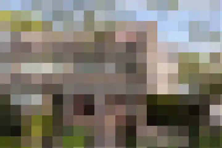 Molensingel 42 Bovenkarspel thumbnail 4