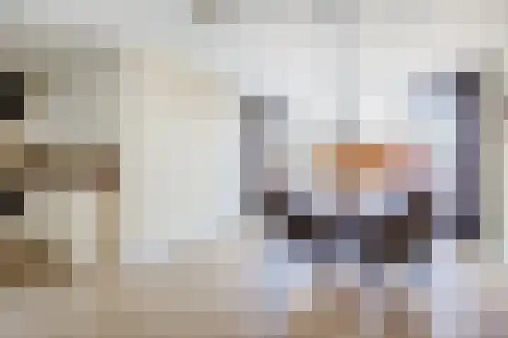 Molensingel 42 Bovenkarspel thumbnail 9
