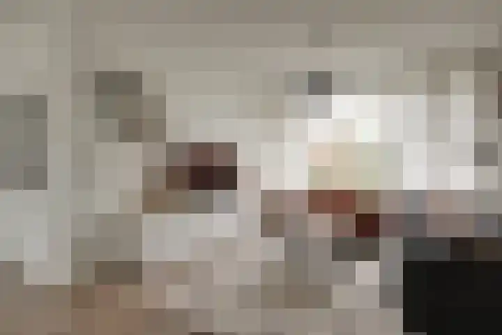 Molensingel 48 Bovenkarspel thumbnail 13