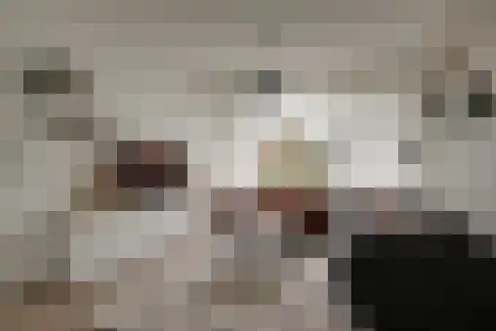 Molensingel 48 Bovenkarspel thumbnail 14