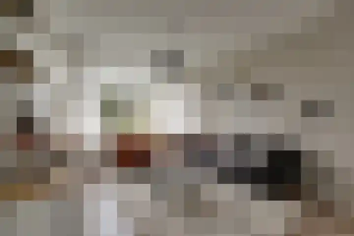 Molensingel 48 Bovenkarspel thumbnail 15