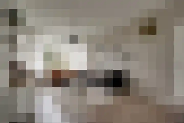 Molensingel 48 Bovenkarspel thumbnail 16