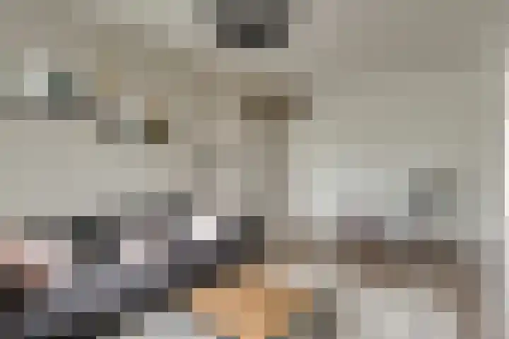 Molensingel 48 Bovenkarspel thumbnail 17