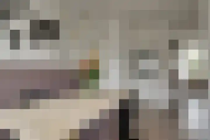Molensingel 48 Bovenkarspel thumbnail 19