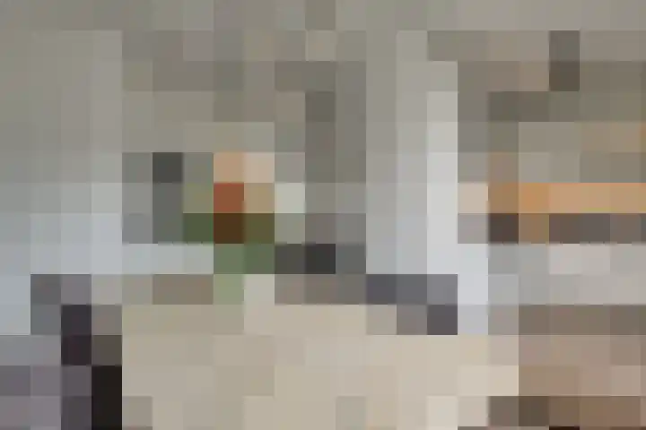 Molensingel 48 Bovenkarspel thumbnail 23