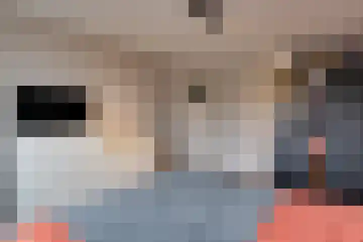 Molensingel 48 Bovenkarspel thumbnail 30