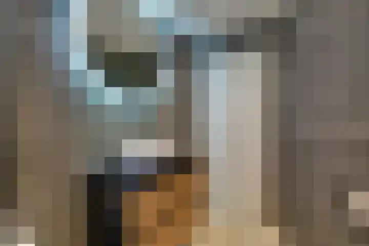 Molensingel 48 Bovenkarspel thumbnail 40