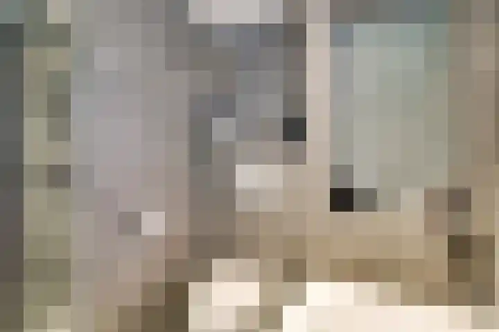 Molensingel 48 Bovenkarspel thumbnail 43