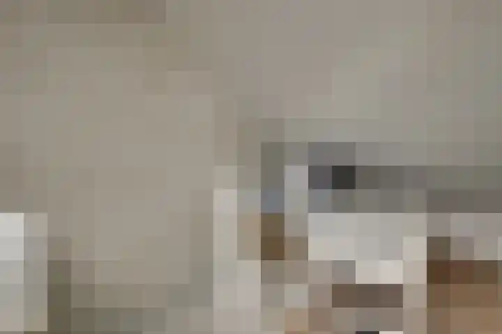 Molensingel 48 Bovenkarspel thumbnail 47