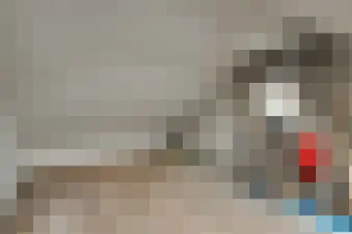 Molensingel 48 Bovenkarspel thumbnail 50