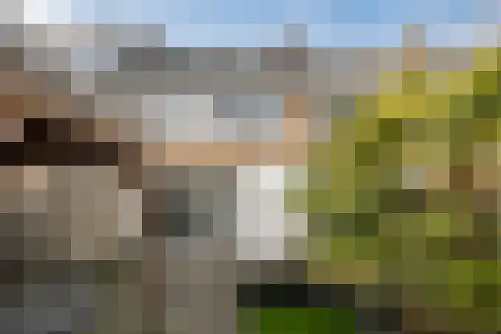 Molensingel 48 Bovenkarspel thumbnail 52