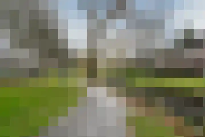 Molensingel 48 Bovenkarspel thumbnail 60