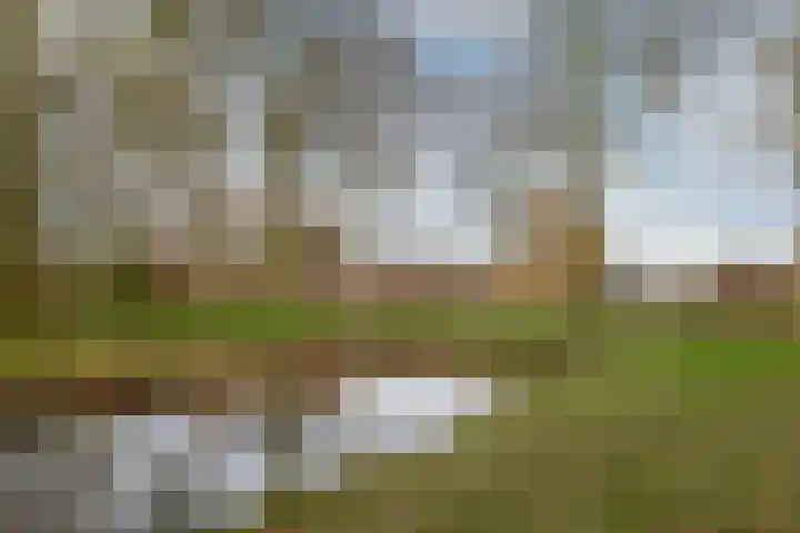 Molensingel 48 Bovenkarspel thumbnail 61