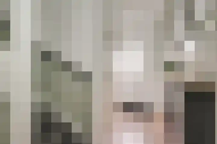 Molensingel 48 Bovenkarspel thumbnail 8
