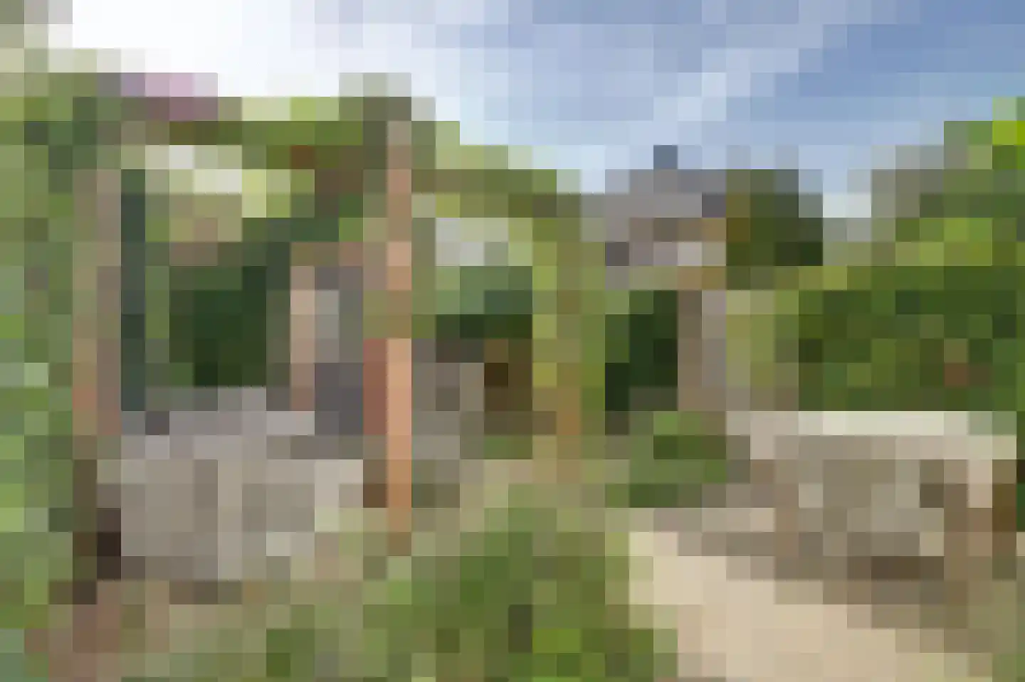 Molensingel 58 Delft thumbnail 6