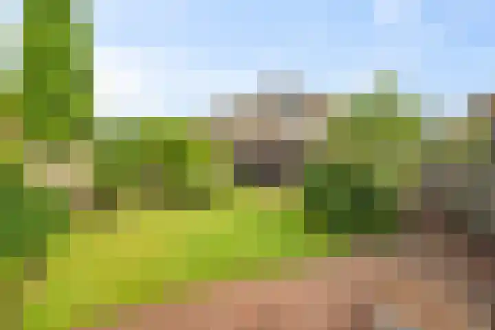 Molensingel 6 Wieringerwaard thumbnail 33