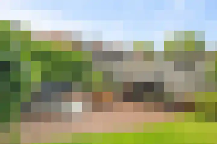 Molensingel 6 Wieringerwaard thumbnail 34
