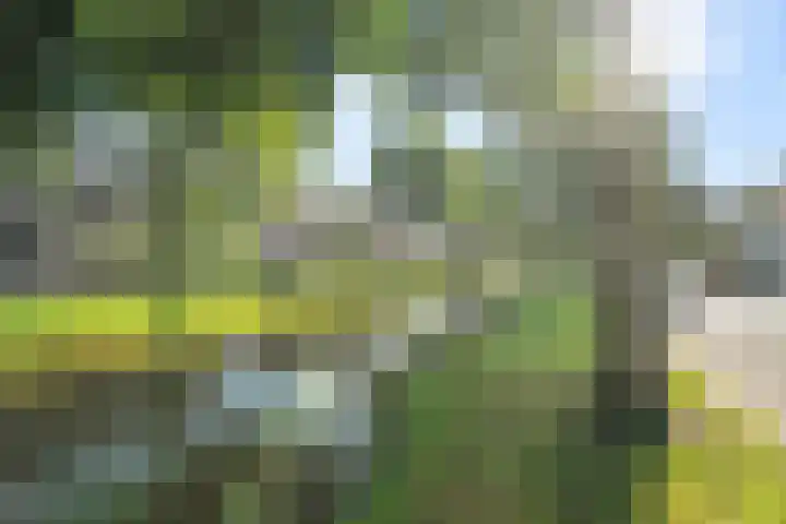 Molensingel 6 Wieringerwaard thumbnail 5
