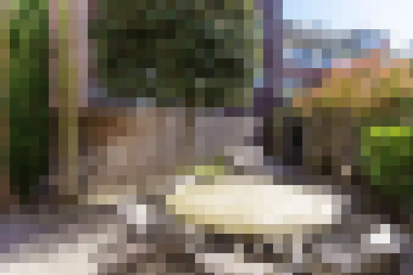 Molensingel 81 Delft thumbnail 16